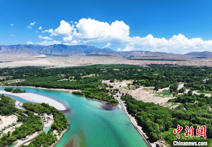 航拍貴德縣黃河岸畔綠意盎然。　馬銘言 攝