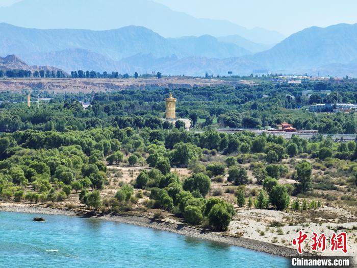 航拍貴德縣黃河岸畔綠意盎然。　馬銘言 攝