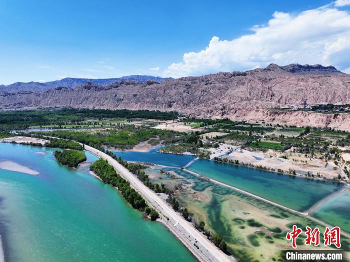 航拍貴德縣黃河岸畔綠意盎然。　馬銘言 攝