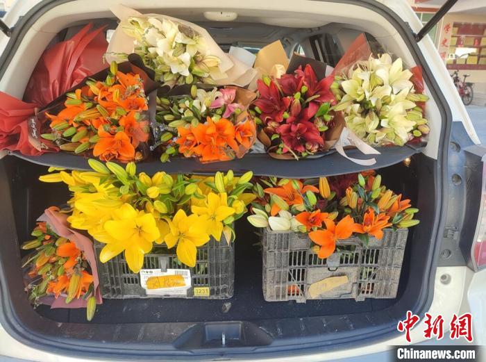 剛剛采摘下來的百合花?！∪捞量h委宣傳部供圖
