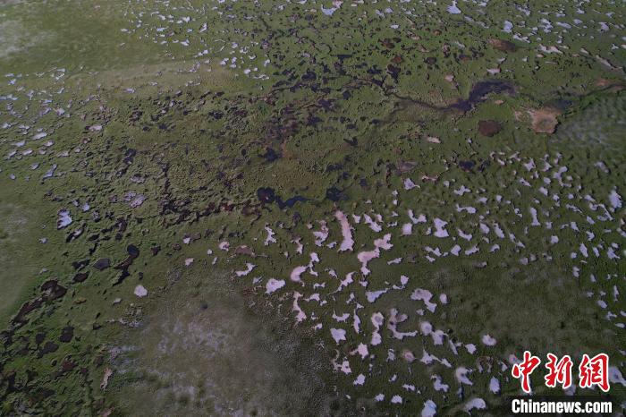 航拍查旦濕地?！●R銘言 攝