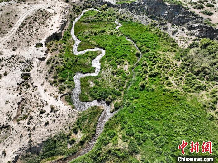 圖為航拍都蘭湖國家濕地公園綠意盎然。　祁增蓓 攝