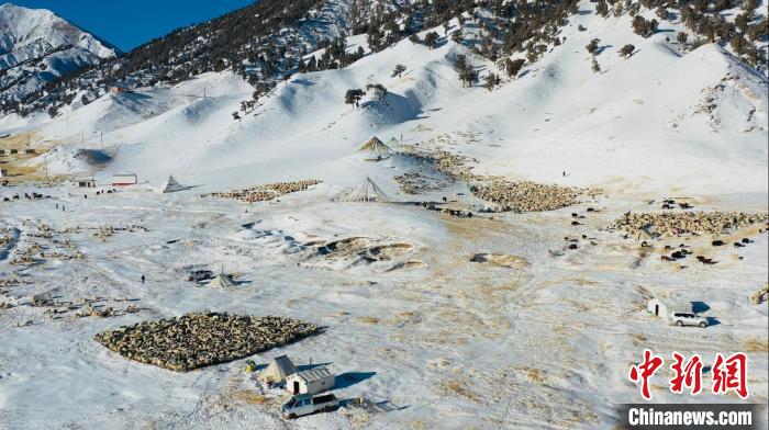 圖為無人機(jī)航拍牧場(chǎng)?！《继m縣融媒體中心供圖