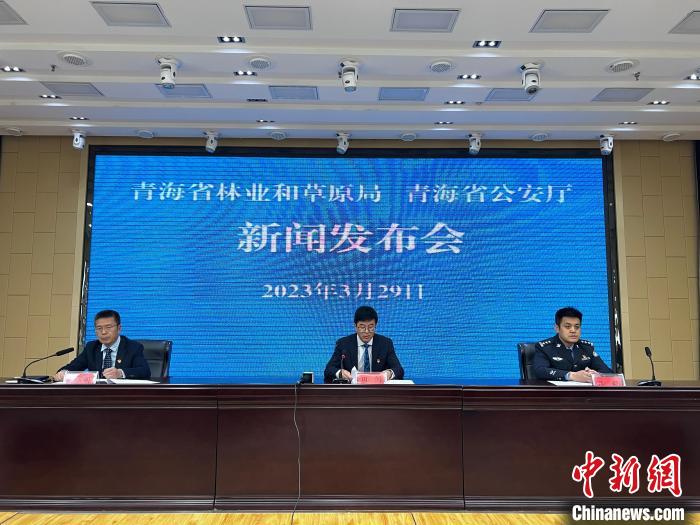 青海去年占用林地、草地準(zhǔn)予許可件同比實(shí)現(xiàn)“雙減”