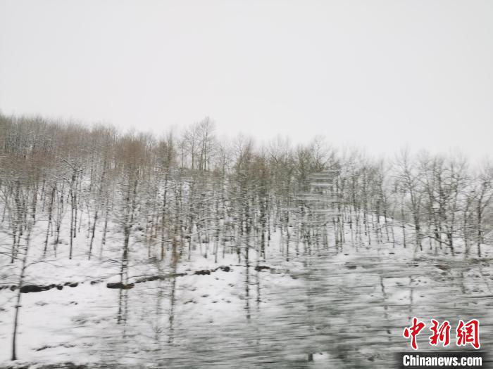 圖為青海青沙山區(qū)域被降雪覆蓋?！?zhí)砀?攝