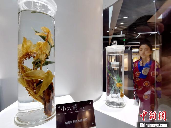 青海中藏醫(yī)藥發(fā)展提速：建設(shè)一批重點?？茖W(xué)科，推廣一批適宜技術(shù)