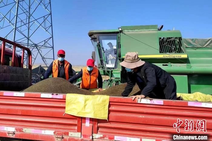 圖為合作社工作人員準(zhǔn)備播種。(資料圖) 張海蓮 攝