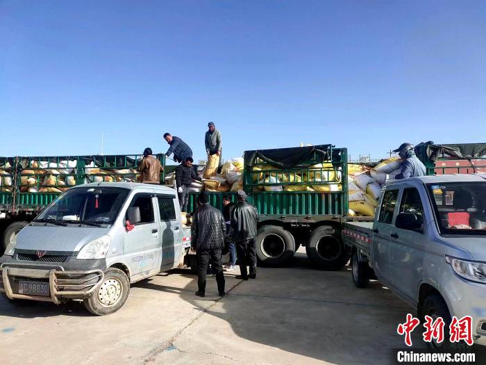 圖為合作社正在拉運(yùn)化肥。(資料圖) 張海蓮 攝