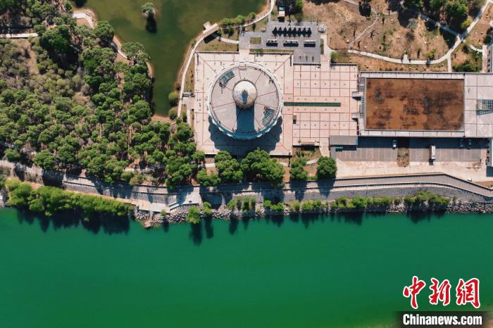 航拍青海貴德黃河岸畔綠意濃濃。　趙凜松 攝