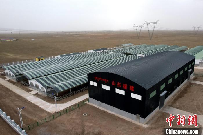 圖為航拍生態(tài)畜牧業(yè)集中規(guī)?；B(yǎng)殖基地?！〔讨绢?攝