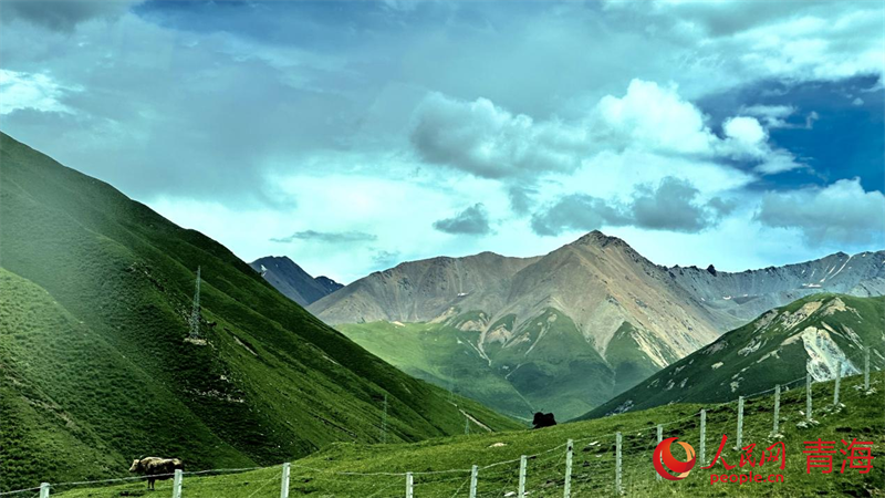 果洛風(fēng)光。人民網(wǎng) 劉沛然攝