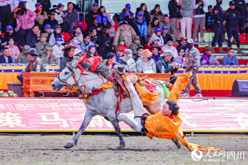 馬術(shù)表演現(xiàn)場。洛絨尼瑪攝