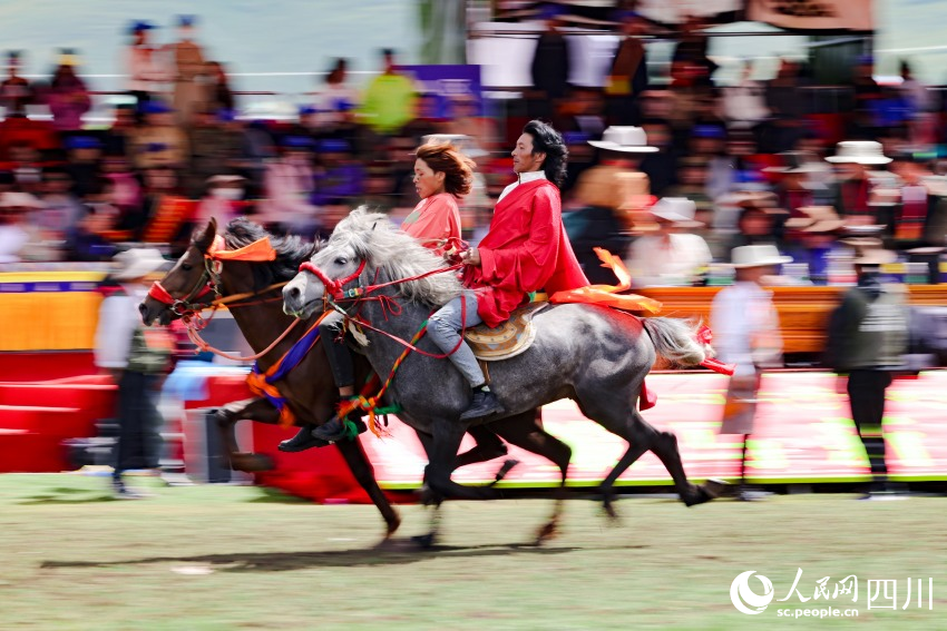 馬術(shù)表演現(xiàn)場。洛絨尼瑪攝