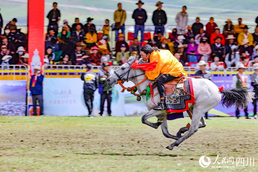 馬術(shù)表演現(xiàn)場。洛絨尼瑪攝