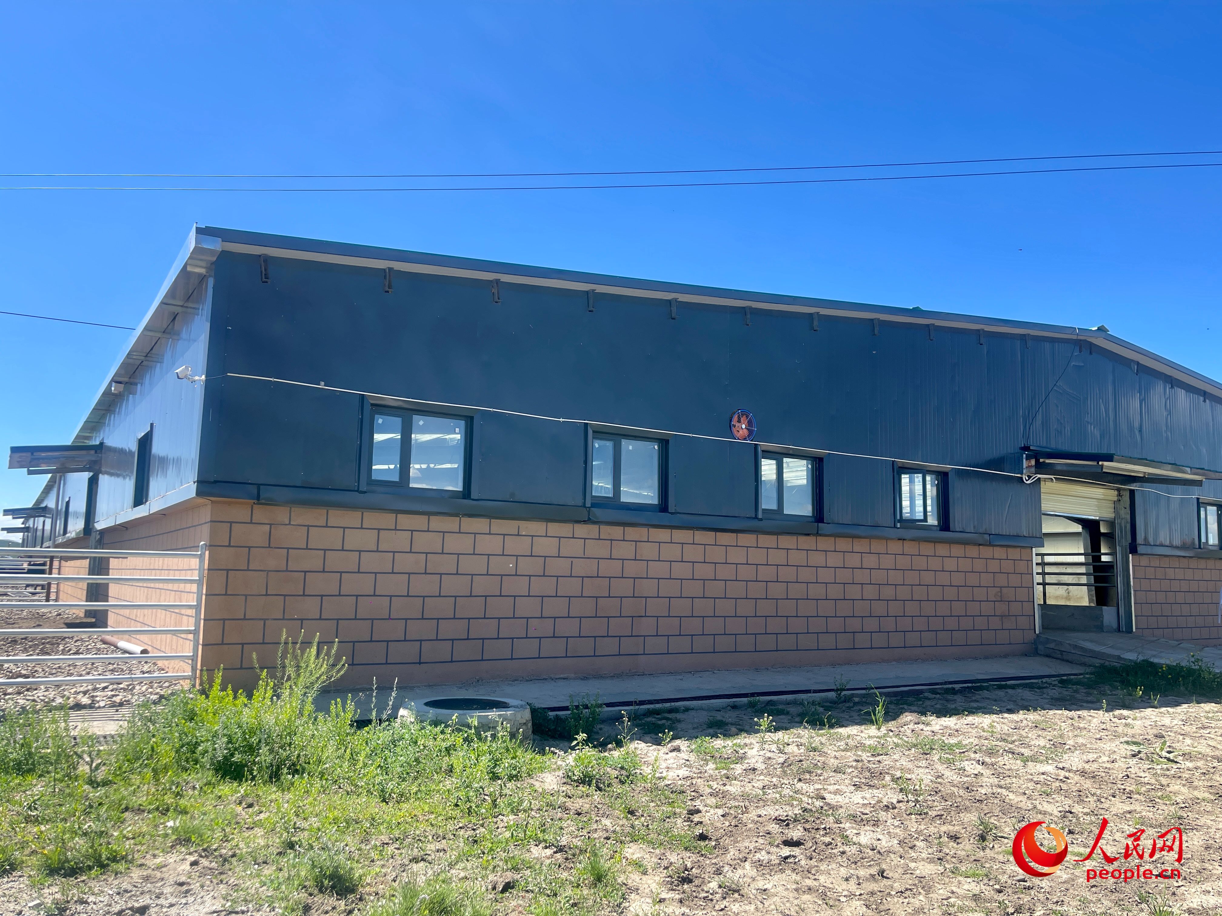 唐日合作社。人民網(wǎng) 周靜圓攝