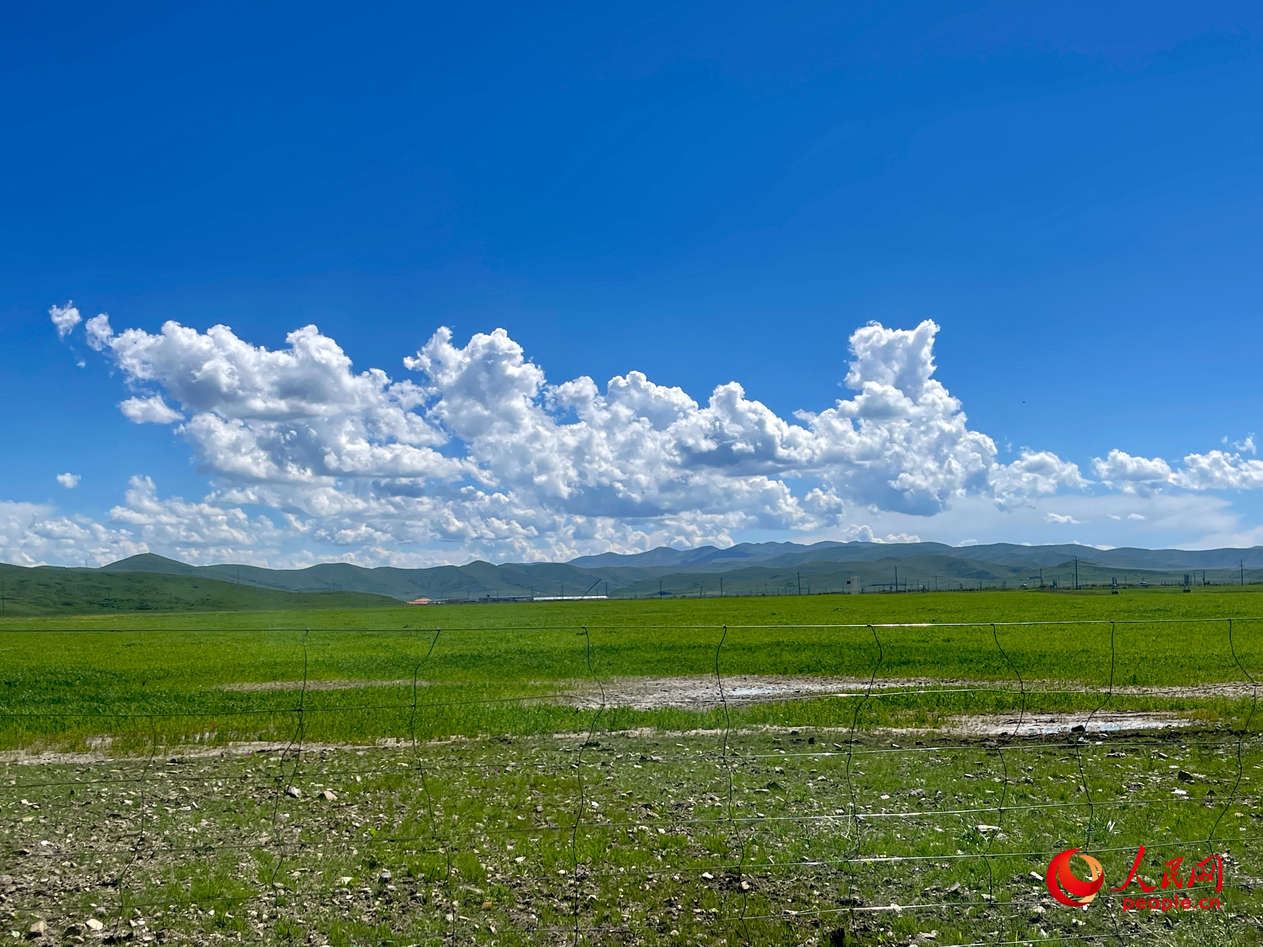 唐日合作社附近，藍(lán)天白天、綠草如茵。人民網(wǎng) 周靜圓攝