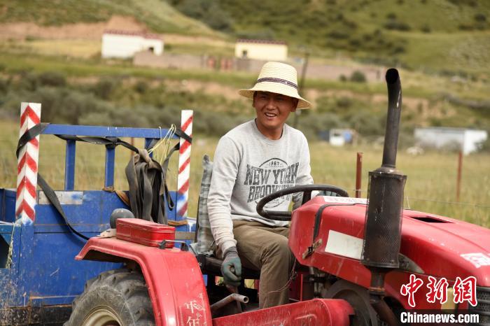 青海囊謙：喜迎秋收，又是一年“豐”景