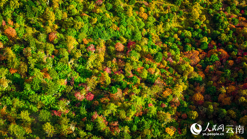 秋日普達(dá)措。格瑪攝