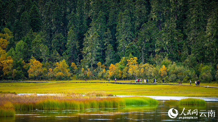 秋日普達(dá)措。格瑪攝