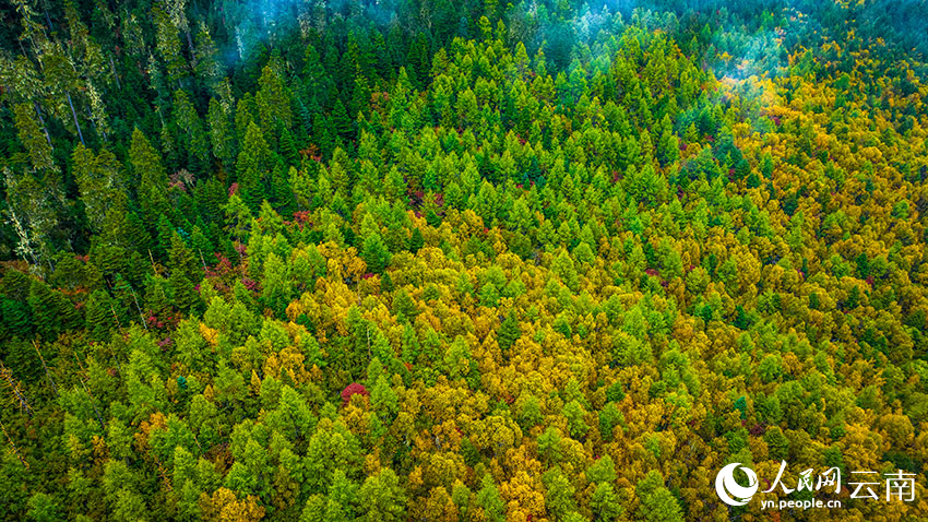秋日普達(dá)措。格瑪攝