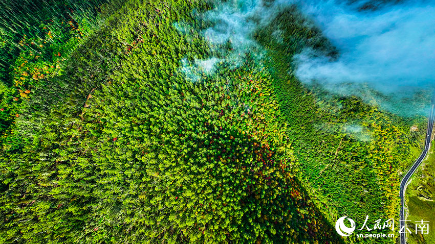 秋日普達(dá)措。格瑪攝