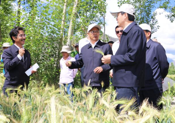 全國表彰大會(huì)上，為什么只有他沒到？