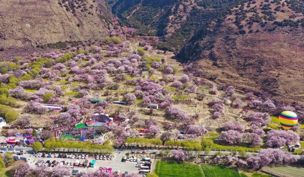 世外桃源！一組圖告訴你，西藏林芝桃花能有多美