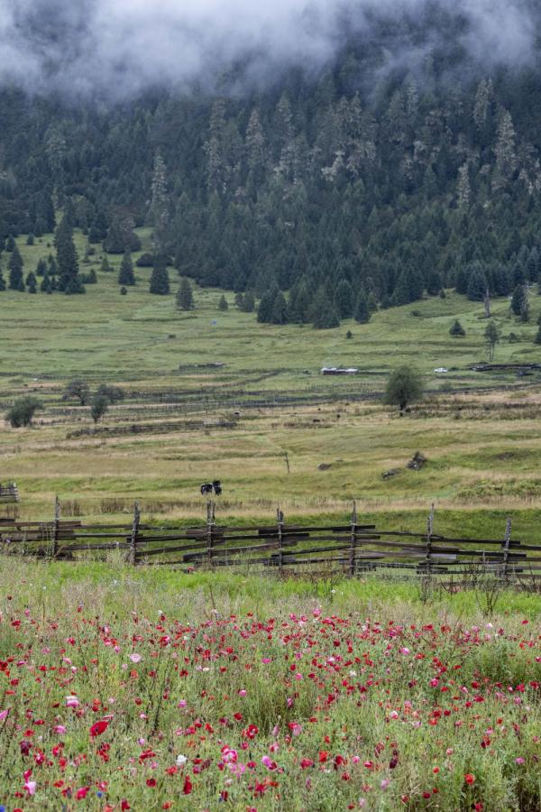 跟我，踏上最美“景觀大道”