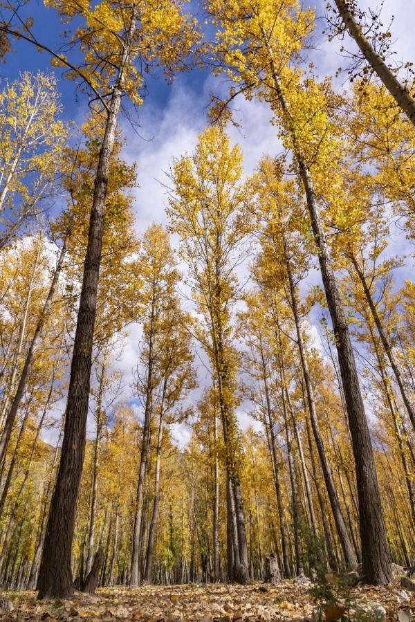 跟我，踏上最美“景觀大道”