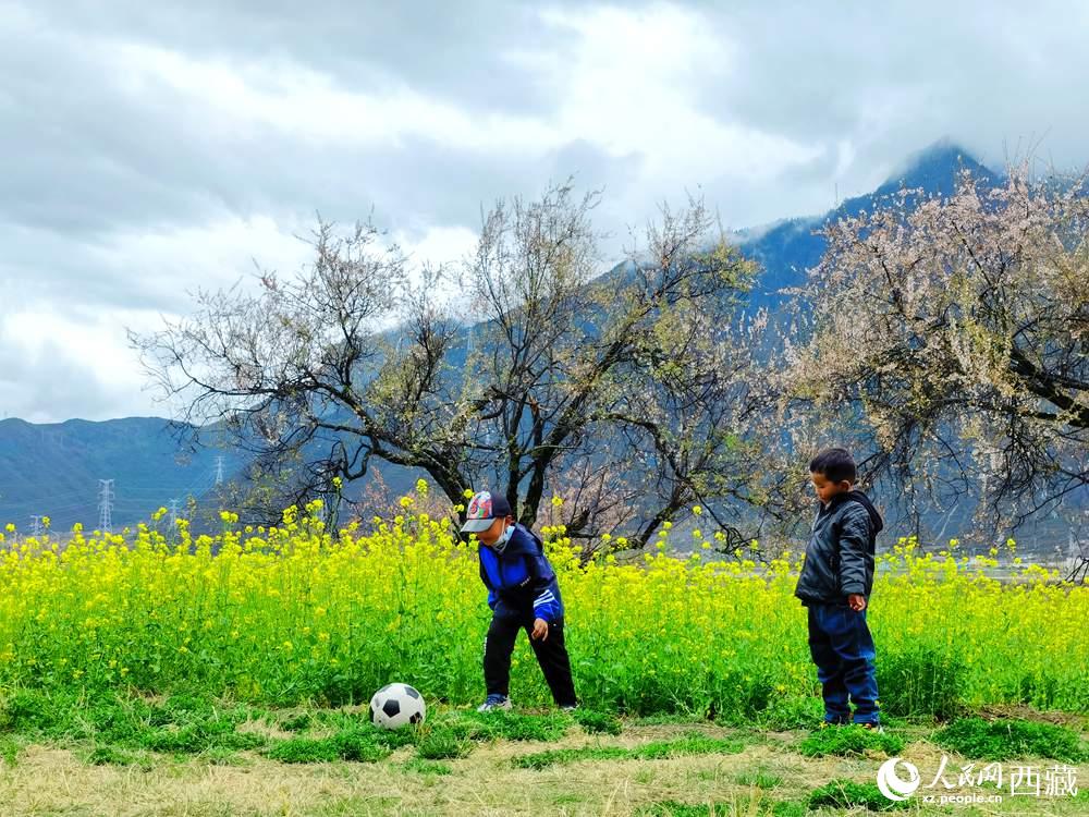 孩童在桃花下嬉戲。人民網(wǎng) 李海霞攝