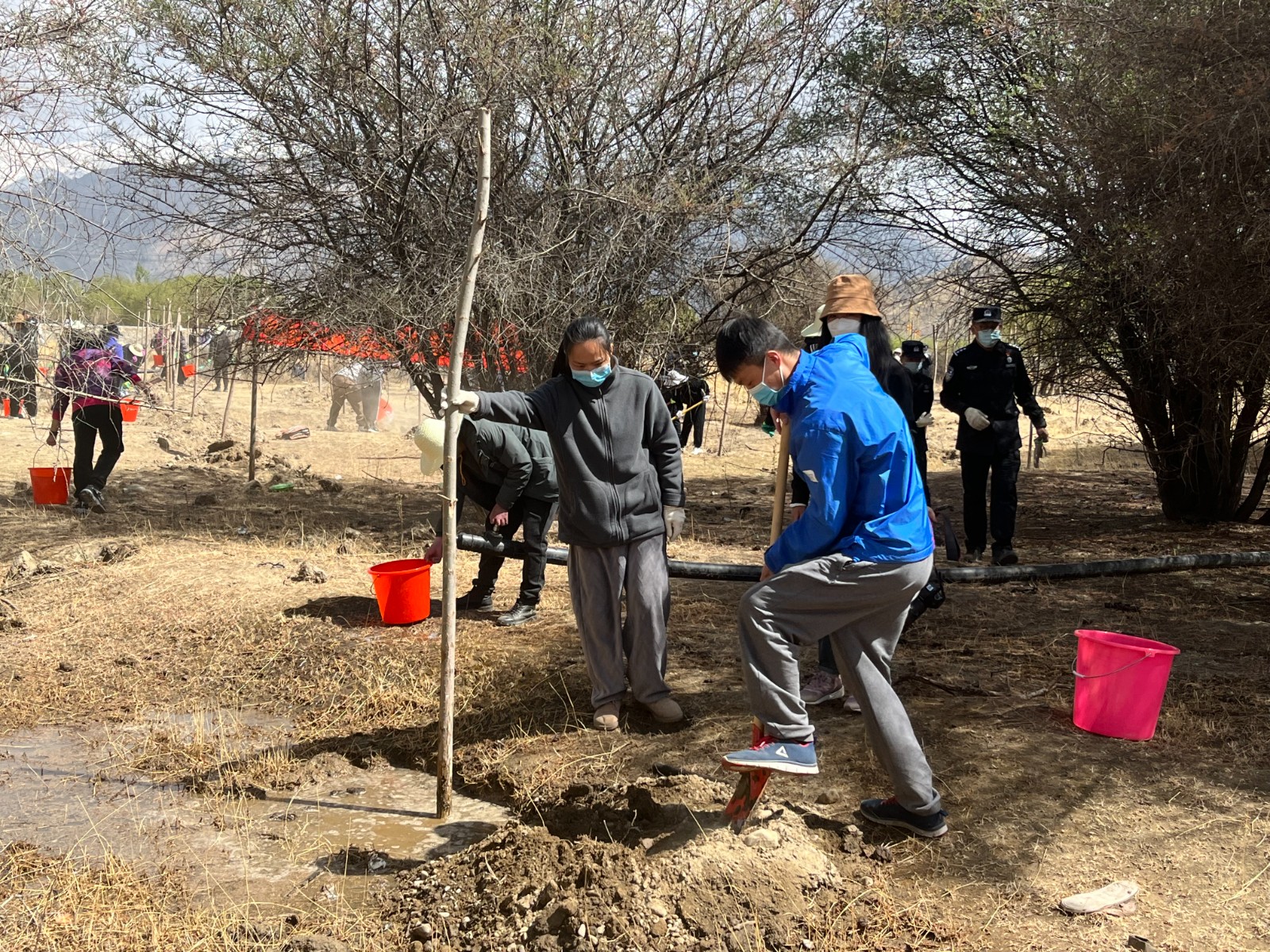植樹現(xiàn)場，大家分工明確，配合默契(2000565)-20220420090303.jpg