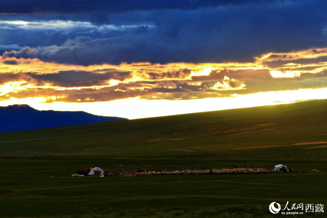 黃昏下的帳篷，牧民過著幸福生活。 人民網(wǎng) 李海霞攝