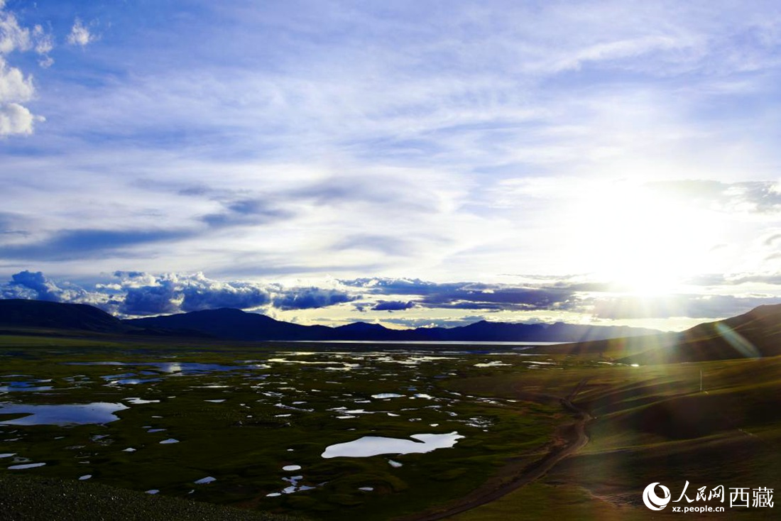 七月的羌塘草原處處是景。人民網(wǎng) 李海霞攝
