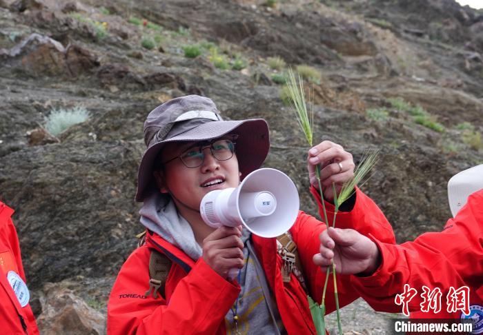 青藏科考：青稞如何走上青藏高原？