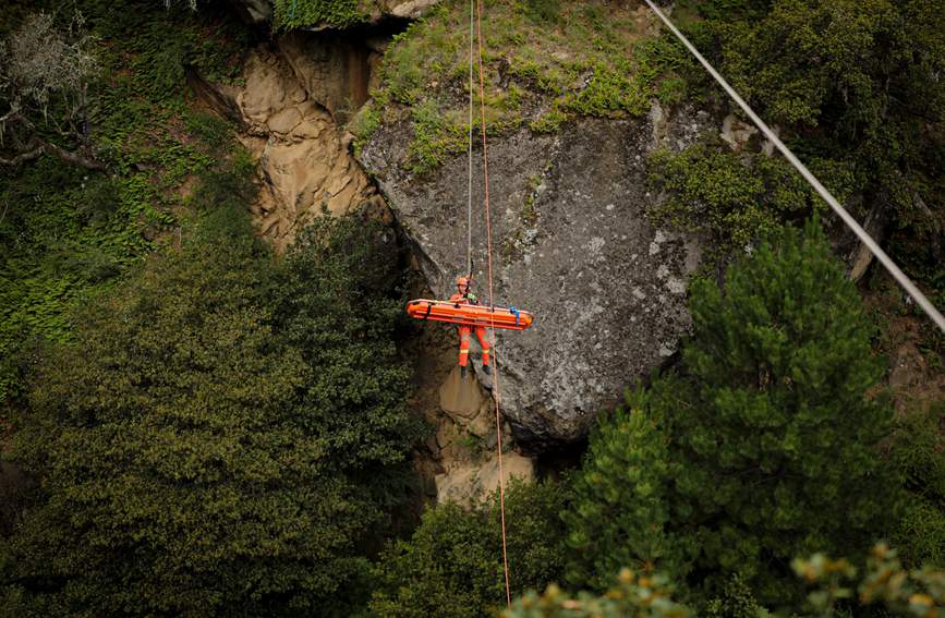 叢林中的橙色身影。西繞拉翁攝