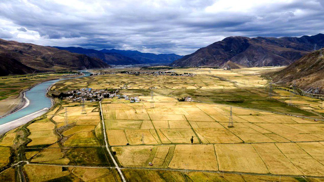 等待豐收的田野。洛克攝