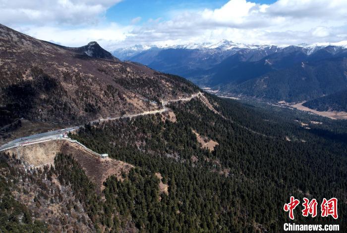 2月17日，西藏林芝魯朗林海。(無人機(jī)照片) 李林 攝