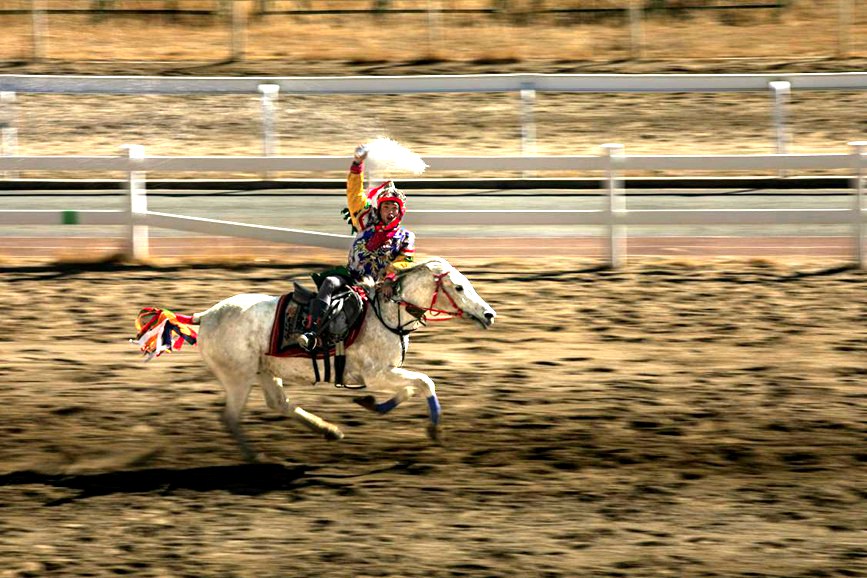 藏歷新年，精彩的馬術(shù)表演。張靜攝