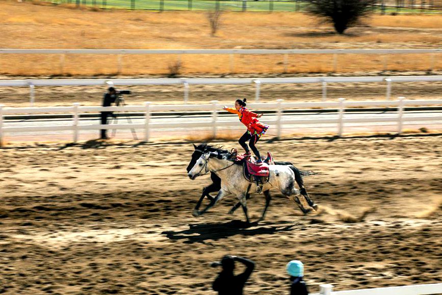 藏歷新年，精彩的馬術(shù)表演。張靜攝