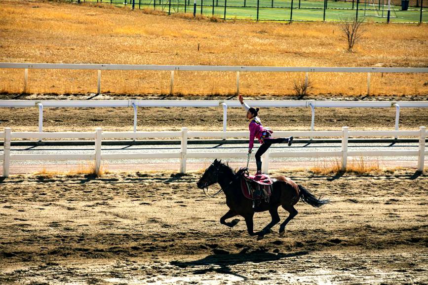 藏歷新年，精彩的馬術(shù)表演。張靜攝