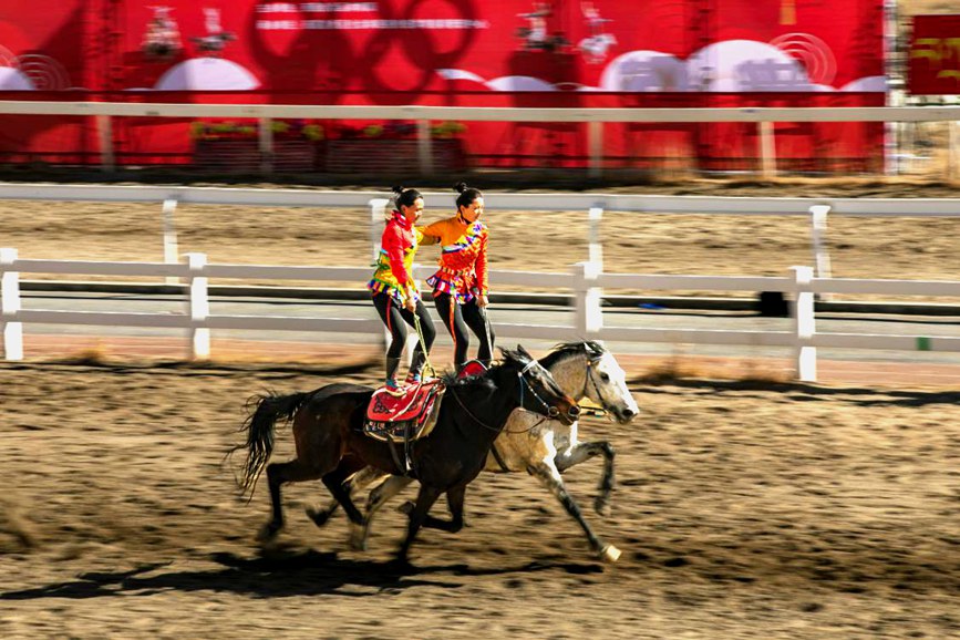 藏歷新年，精彩的馬術(shù)表演。張靜攝