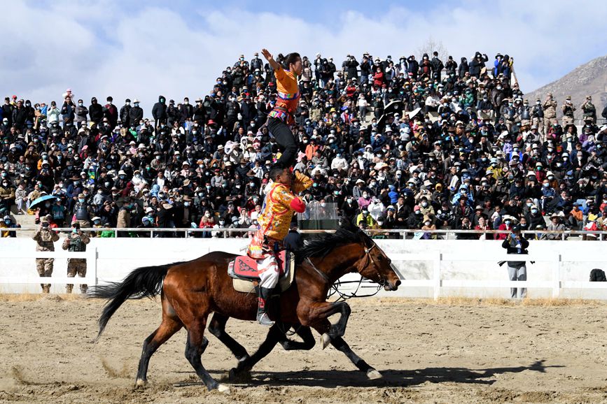 藏歷新年，精彩的馬術(shù)表演。潘多攝