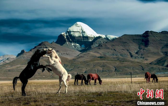圖為參展攝影師拍攝的西藏阿里岡仁波齊?！≈鬓k方 供圖