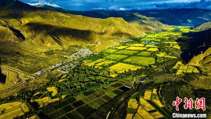 圖為山南雍布拉康附近農(nóng)田?！埼?攝