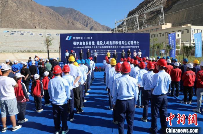 圖為蘇洼龍水電站魚類放流現(xiàn)場(chǎng)?！√K洼龍水電站供圖