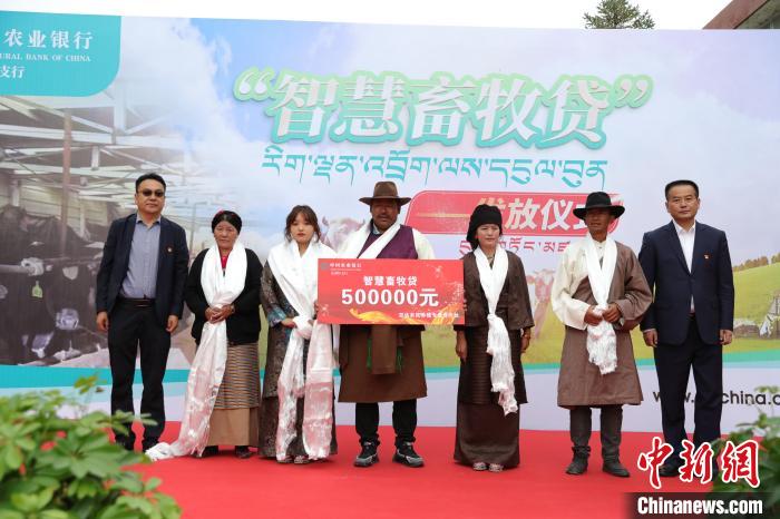 金融服務“三農”:西藏首筆“智慧畜牧貸”成功發(fā)放