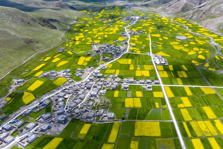 航拍道布龍村，依山傍水，阡陌縱橫。