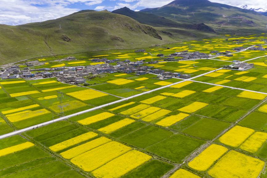 航拍道布龍村，依山傍水，阡陌縱橫。