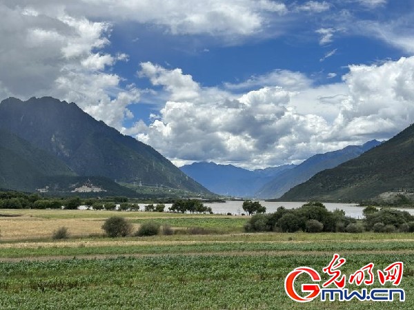 我們的家園｜林芝米林縣：河長(zhǎng)護(hù)藥洲，碧水映花谷