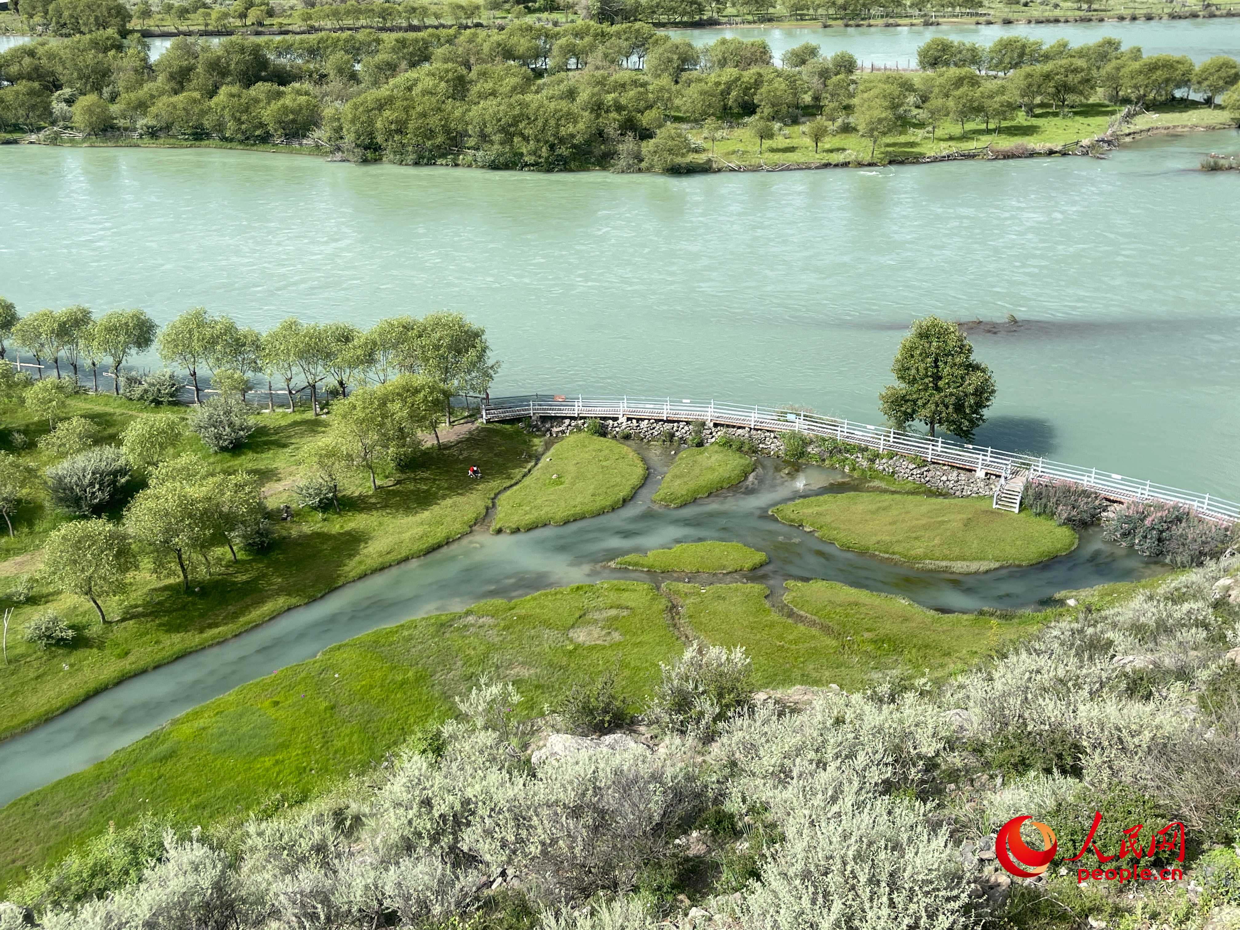 夏日的雅尼國家濕地公園生機(jī)盎然，如詩如畫。人民網(wǎng) 周靜圓攝